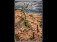 Colin Donaldson-Llanddwyn Bay-First.jpg